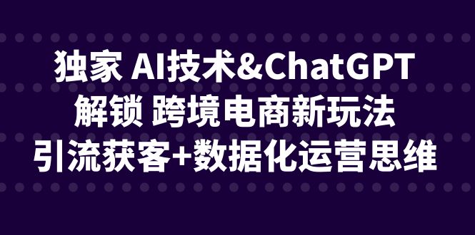 （6599期）独家 AI技术&ChatGPT解锁 跨境电商新玩法，引流获客+数据化运营思维