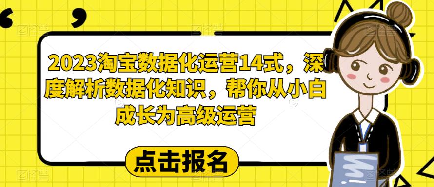 （6475期）2023淘宝数据化-运营 14式，深度解析数据化知识，帮你从小白成长为高级运营