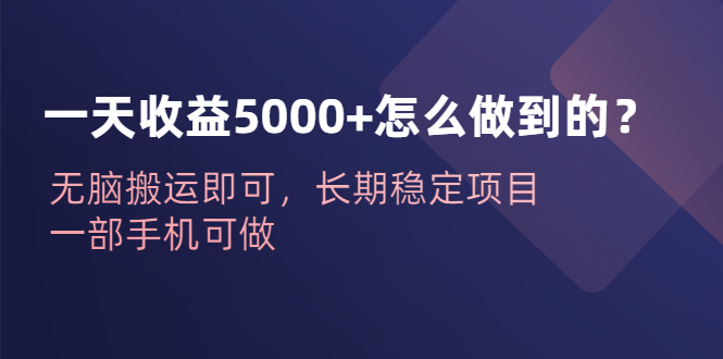 （6435期）一天收益5000+怎么做到的？无脑搬运即可，长期稳定项目，一部手机可做