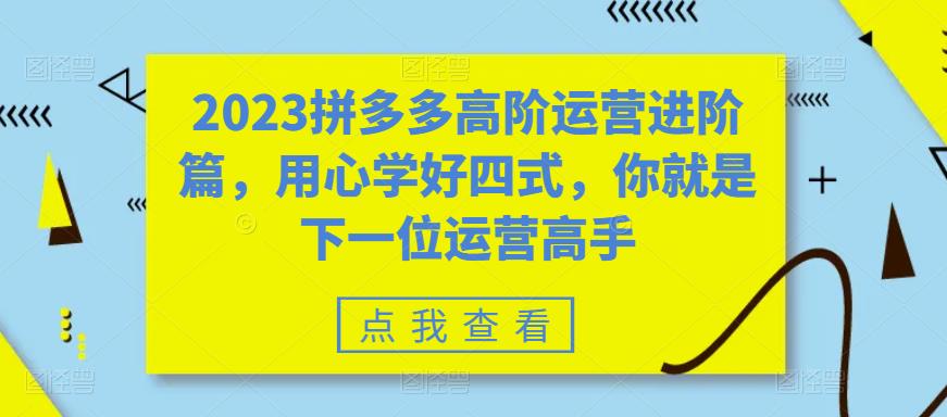 （6193期）2023拼多多高阶运营进阶篇，用心学好四式，你就是下一位运营高手