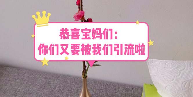 （5891期）恭喜宝妈们：你们又要被我们引流了（教程+222g资料）