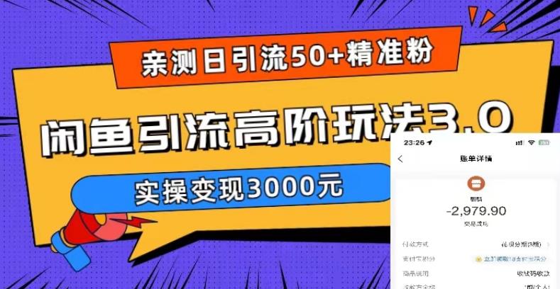 （5739期）实测日引50+精准粉，闲鱼引流高阶玩法3.0，实操变现3000元