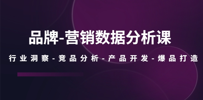 （5565期）品牌-营销数据分析课，行业洞察-竞品分析-产品开发-爆品打造