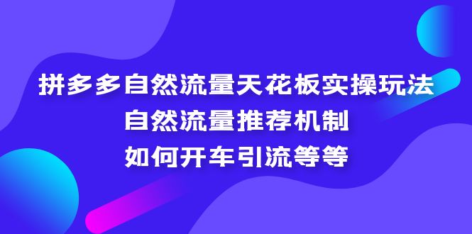 （5327期）拼多多自然流量天花板实操玩法：自然流量推荐机制，如何开车引流等等