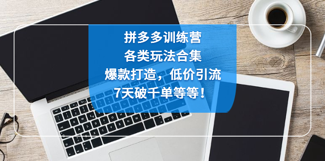 （4693期）拼多多训练营：各玩法合集，爆款打造，低价引流，7天破千单等等！