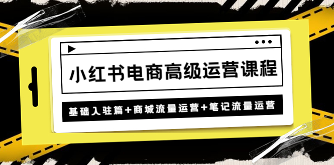 （4638期）小红书电商高级运营课程：基础入驻篇+商城流量运营+笔记流量运营