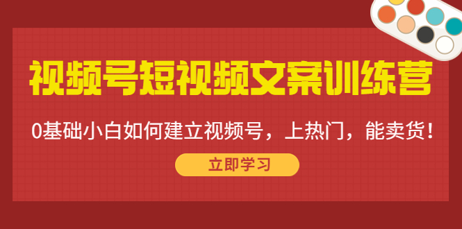 （4266期）视频号短视频文案训练营：0基础小白如何建立视频号，上热门，能卖货！