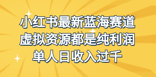 （6721期）外面收费1980的小红书最新蓝海赛道，虚拟资源都是纯利润，单人日收入过千