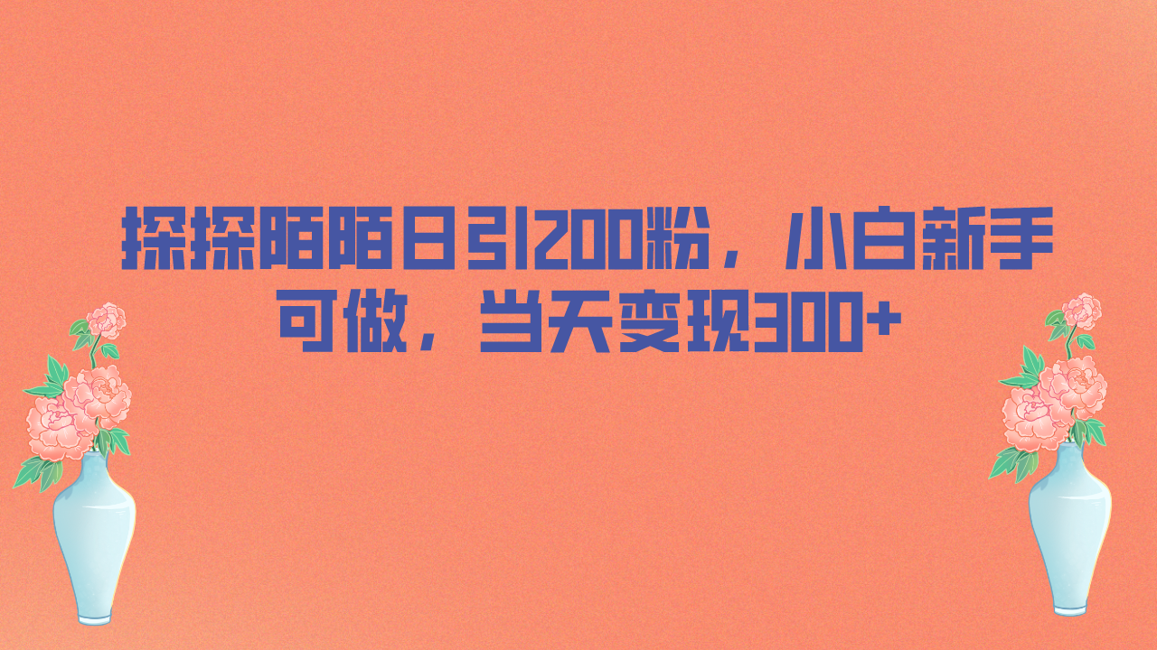 （6817期）探探陌陌日引200粉，小白新手可做，当天就能变现300+