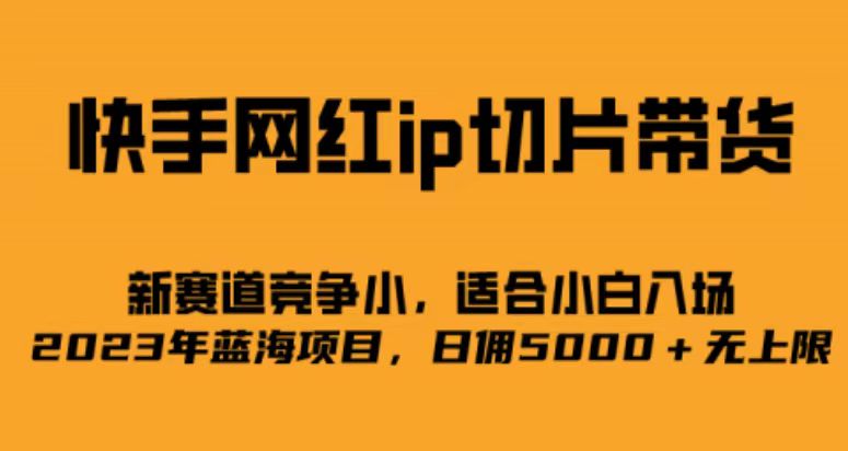 快手网红ip切片新赛道，竞争小，适合小白  2023蓝海项目