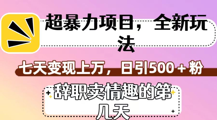 超暴利项目，全新玩法（辞职卖情趣的第几天），七天变现上万，日引500+粉