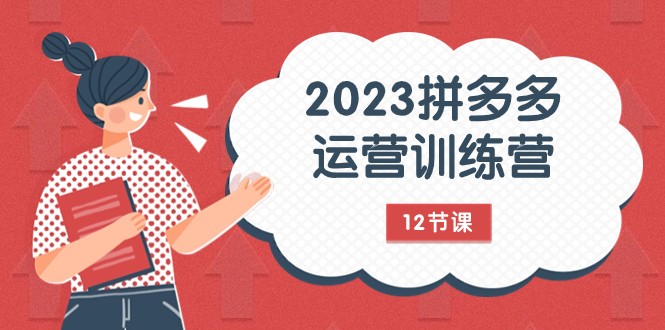 2023拼多多运营训练营：流量底层逻辑，免费+付费流量玩法（12节课）