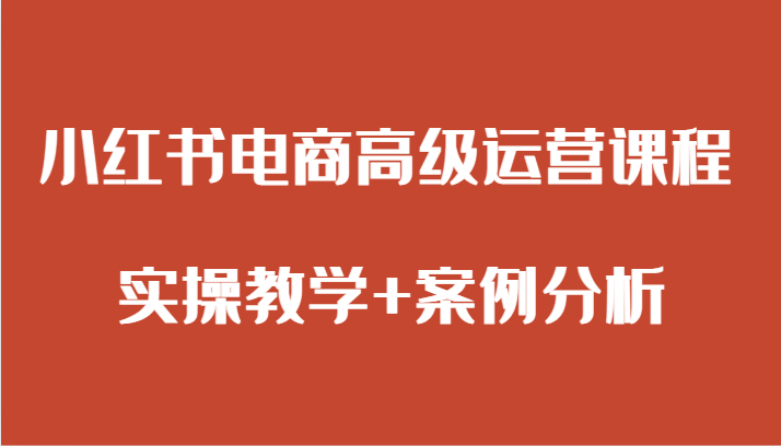 小红书电商高级运营课程 实操教学+案例分析