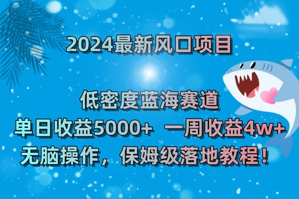 （8545期）2024最新风口项目 低密度蓝海赛道，日收益5000+周收益4w+ 无脑操作，保…