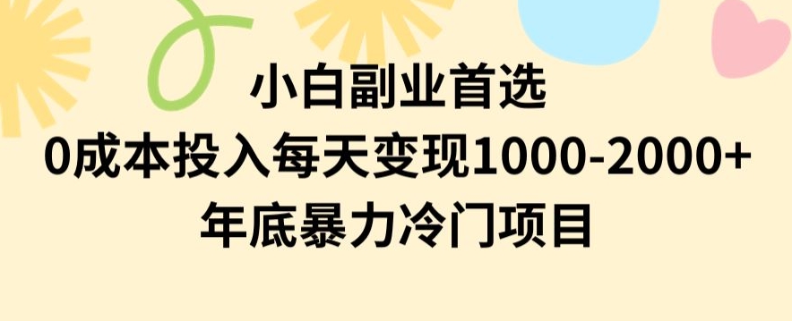 小白副业首选，0成本投入，每天变现1000-2000年底暴力冷门项目【揭秘】