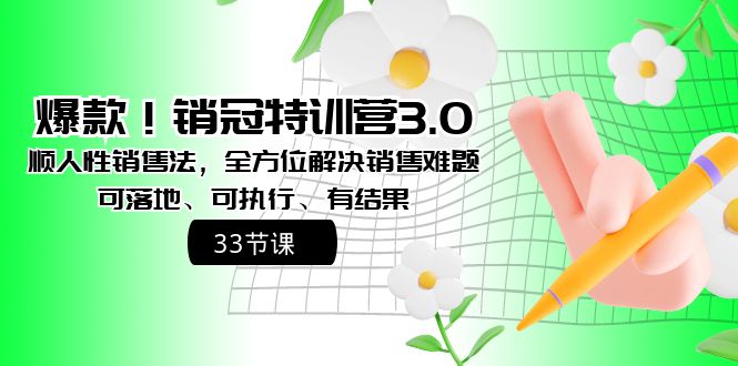 （8573期）爆款！销冠特训营3.0之顺人性销售法，全方位解决销售难题、可落地、可执…