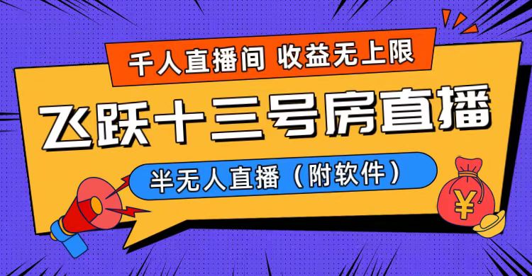 （8711期）爆火飞跃十三号房半无人直播，一场直播上千人，日入过万！（附软件）