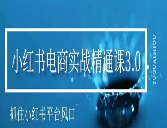 小红书电商实战精通课3.0，抓住小红书平台的风口，不错过有一个赚钱的机会