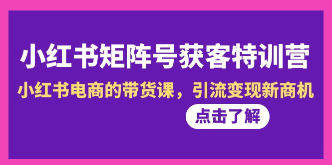 （8909期）小红书-矩阵号获客特训营-第10期，小红书电商的带货课，引流变现新商机