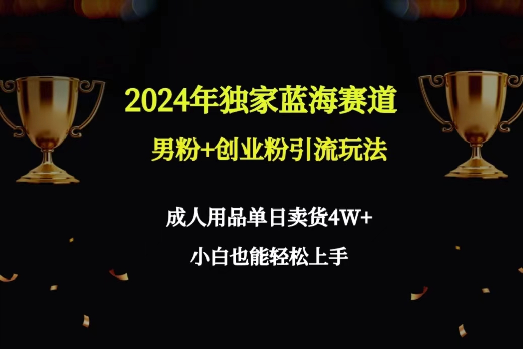 （9111期）2024年独家蓝海赛道男粉+创业粉引流玩法，成人用品单日卖货4W+保姆教程