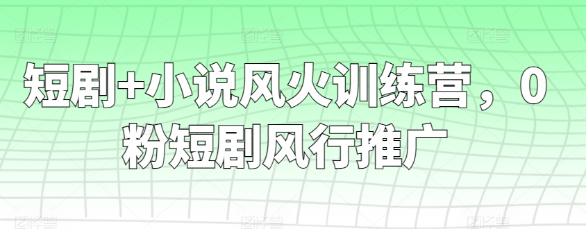 短剧+小说风火训练营，0粉短剧风行推广