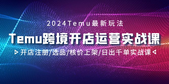 （9208期）2024Temu跨境开店运营实战课，开店注册/选品/核价上架/日出千单实战课