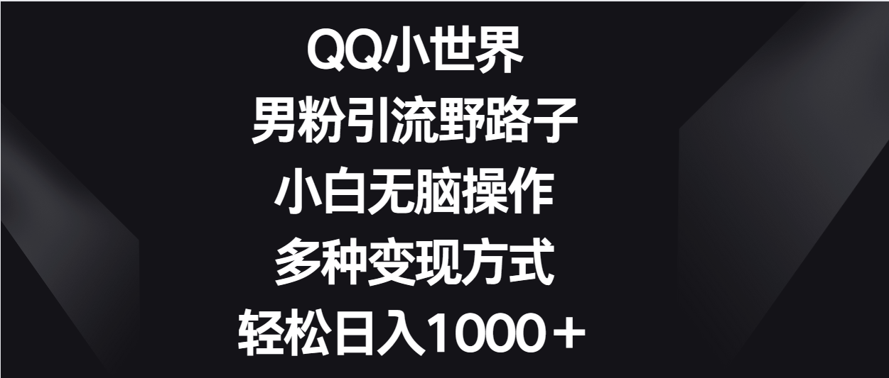 QQ小世界男粉引流野路子，小白无脑操作，多种变现方式轻松日入1000＋