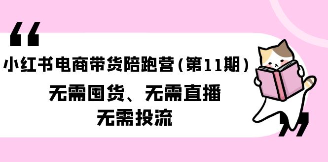 （9996期）小红书电商带货陪跑营（第11期）无需囤货、无需直播、无需投流（送往期10套）