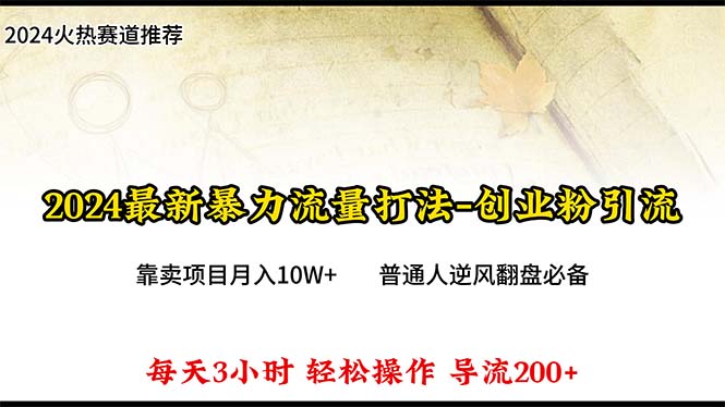 （10151期）2024年最新暴力流量打法，每日导入300+，靠卖项目月入10W+