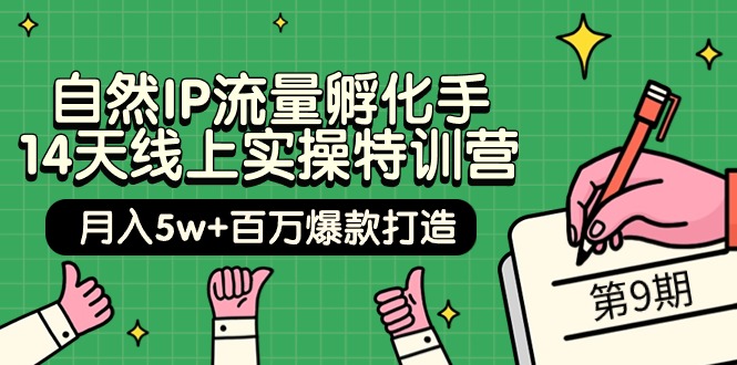 （9881期）自然IP流量孵化手 14天线上实操特训营【第9期】月入5w+百万爆款打造 (74节)