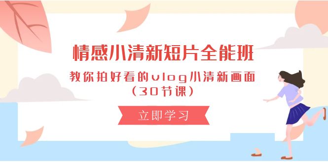 （10567期）情感 小清新短片-全能班，教你拍好看的vlog小清新画面 (30节课)