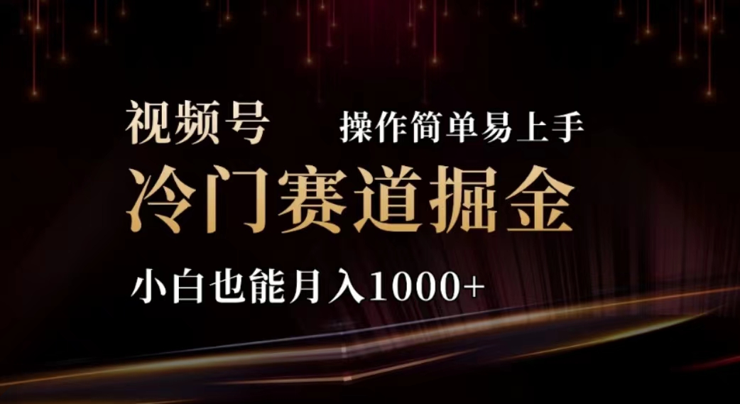 （11378期）2024视频号冷门赛道掘金，操作简单轻松上手，小白也能月入1000+