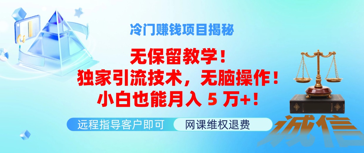 （11864期）冷门赚钱项目无保留教学！独家引流技术，无脑操作！小白也能月入5万+！