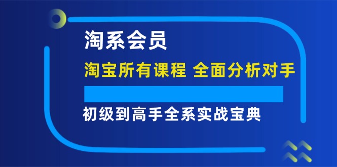 （12056期）拼多多 会员，拼多多实战宝典+实战落地实操，从新手到高阶内容全面覆盖