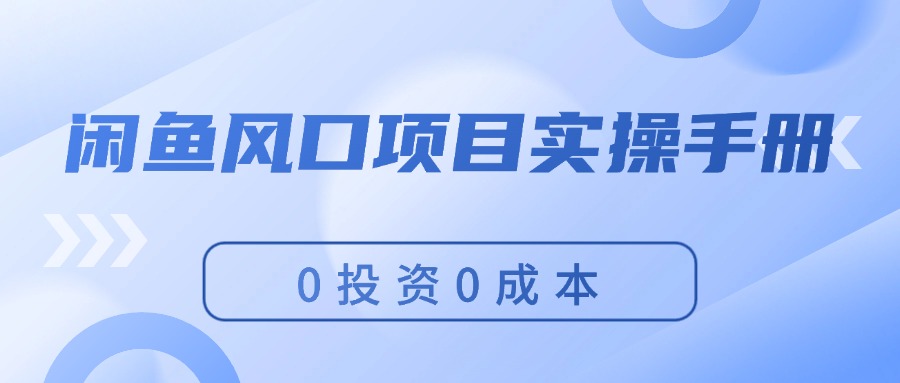 （11923期）闲鱼风口项目实操手册，0投资0成本，让你做到，月入过万，新手可做