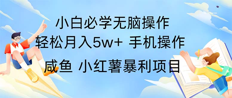 （11953期）2024热门暴利手机操作项目，简单无脑操作，每单利润最少500