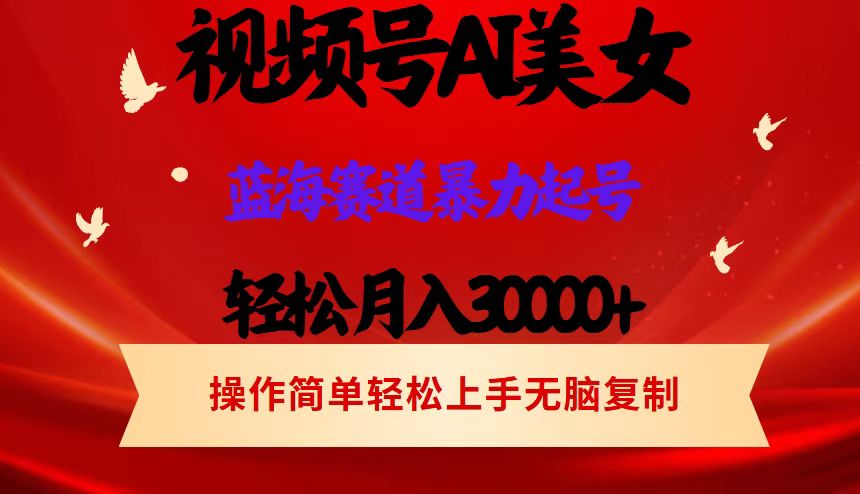 （12178期）视频号AI美女跳舞，轻松月入30000+，蓝海赛道，流量池巨大，起号猛，当…