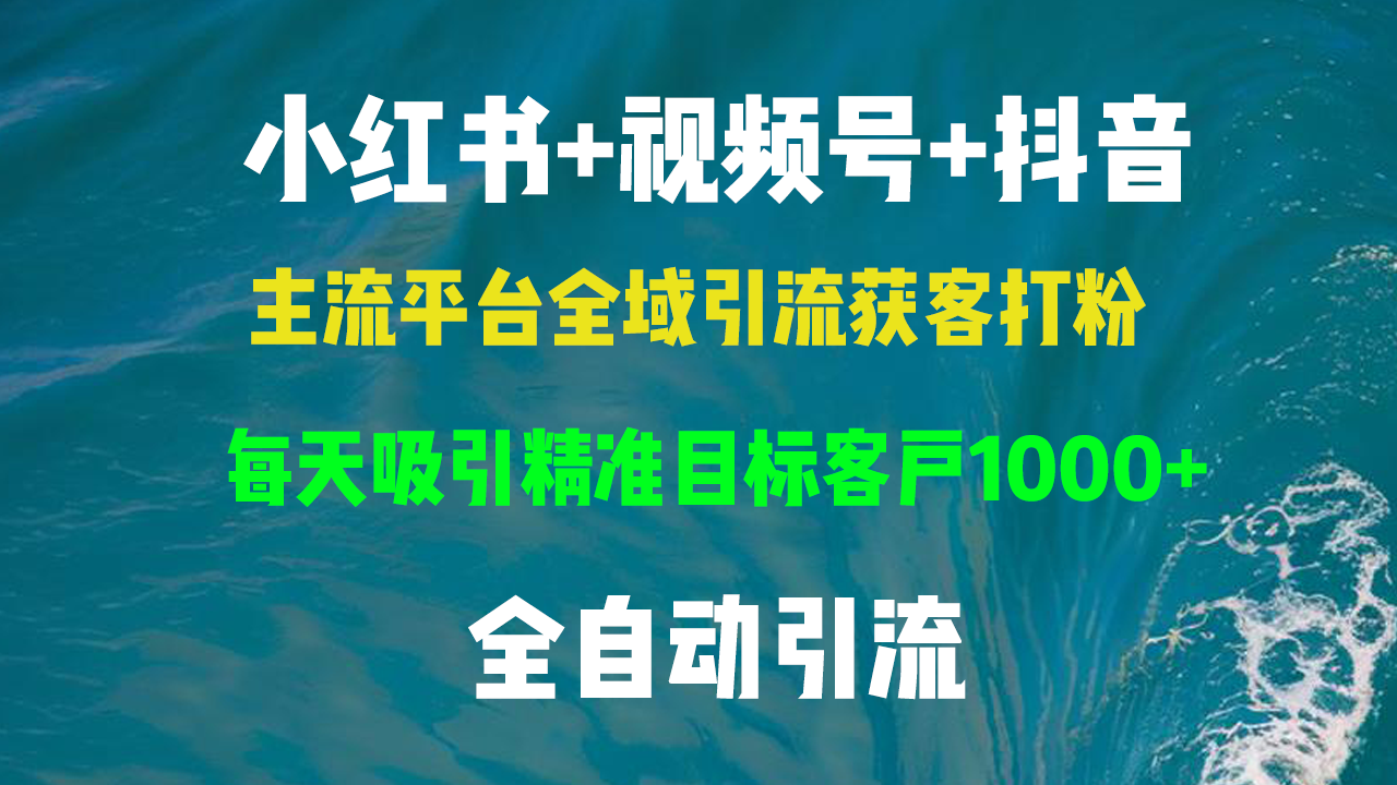 （13104期）小红书，视频号，抖音主流平台全域引流获客打粉，每天吸引精准目标客户…