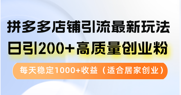 （12893期）拼多多店铺引流最新玩法，日引200+高质量创业粉，每天稳定1000+收益（…