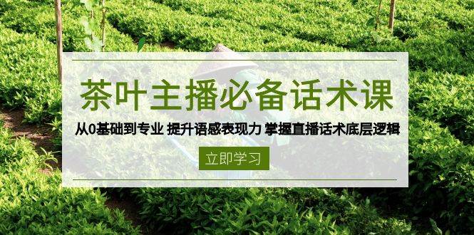 茶叶主播必备话术课 从0基础到专业 提升语感表现力 掌握直播话术底层逻辑